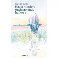 Palmslag Haast honderd onthaastende haikoes