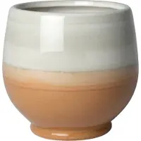 Intratuin Bloempot Op Voet Kaan Bruin D 20,5 H 19 Cm