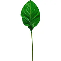 Easyplants | Kunstblad groen 90cm | Zijde | Nepbloemen | groen | Onderhoudsvrij | Kant-en-klaar