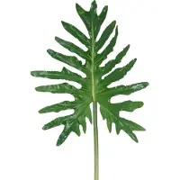 Easyplants | Kunstblad Philodendron 90cm | Zijde | Nepbloemen | groen | Onderhoudsvrij | Kant-en-klaar