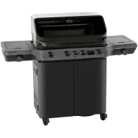 Rösle Barbecue Blazeflame Gas Blazeflame Master 4