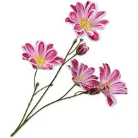 Silk-ka Kunstbloem Margriet Roze H 65 Cm