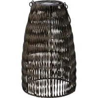 Intratuin Lantaarn Ravi Bruin D 17 H 26 Cm