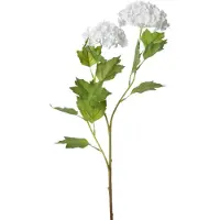 Intratuin Kunstbloem Gelderse Roos Wit H 66 Cm