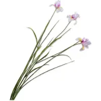 Silk-ka Kunstbloem Iris Paars H 71 Cm