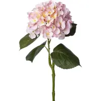 Intratuin Kunstbloem Hortensia Roze H 62 Cm
