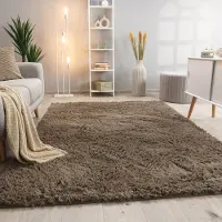 Paco Home Hoogpolig Vloerkleed Woonkamer Vacht Imitatiebont Shaggy Wollig Eenkleurig 160x220 cm