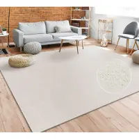 Paco Home Vloerkleed Woonkamer Effen Eenvoudig En Modern Laagpolig, Versch. Afmetingen Kleuren 60x100 cm