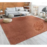 Paco Home Vloerkleed Woonkamer Effen Eenvoudig En Modern Laagpolig, Versch. Afmetingen Kleuren 200x280 cm