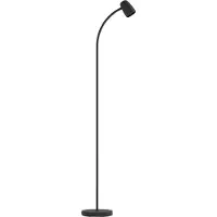 Eglo LED vloerlamp 170 cm | Carlo | Zwart | 18W