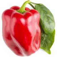 Click and Grow - Smart Garden Refill 3-pack Sweet red peppers