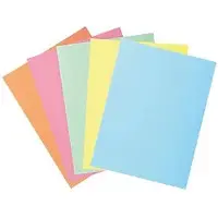 Exacompta 2-Flap presentatiemap 332100E Kleurenassortiment Karton 24 x 32 cm 50 Stuks
