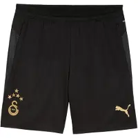 Puma Galatasaray Training Short Kids 2025/2026