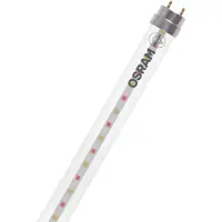 Ledvance LED planten lamp T8 6,6W buis Fluora 2.500K 60cm