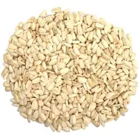 Wielink Witte zonnebloempitten 12,5 kg