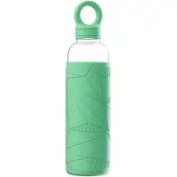 Royal Leerdam | Drinkfles 2 Go green - 55 cl - Borosilicaat - 1 stuk(s)