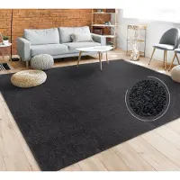 Paco Home Vloerkleed Woonkamer Effen Eenvoudig En Modern Laagpolig, Versch. Afmetingen Kleuren 200x280 cm