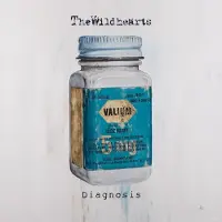 Ginza.se Diagnosis