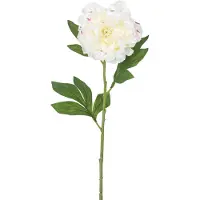 Easyplants | Kunstbloem Pioen 77 cm wit | Zijde | Nepbloemen | wit | Onderhoudsvrij | Kant-en-klaar