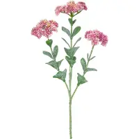 Easyplants | Kunsttak Sedum 56 cm lichtroze | Zijde | Nepbloemen | lichtroze | Onderhoudsvrij | Kant-en-klaar