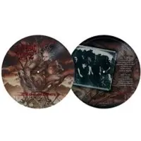 Cannibal Corpse LP - Bloodthirst - voor Geen - standaard - Maat Standard