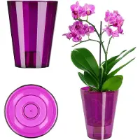 Kadax Bloempot, slanke orchideeënpot, eenvoudige plantenbak, bloempot voor orchidee, Moeras Madeliefjes, plantenbak voor keuken en woonkamer (diameter 12 cm, rond, pruim)