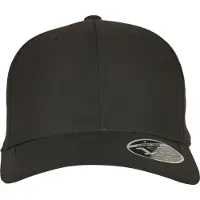 Flexfit Pet zwart