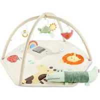 Skip Hop Geometric Wonders Babygym