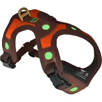 Niggeloh Zweet Harnas Follow Light LICHTBLICK – Lichtgevend Hondentuig / Hondenharnas Oranje XS