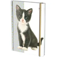 Bekking & Blitz Notitieboek A5, harde kaft: Franciens Kittens, Francien van Westering