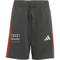 Adidas Sportbroek 'AUDI REVOLUT F1 TEAM DNA' rood / zwart / wit