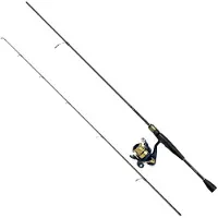 Daiwa Rs802hxhfsaf+rs4000 Spinning Combo Goud 2.44 m / 14-56 g