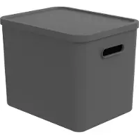 Rotho ALBULA Multibox 29.5x29x37 cm 27L Antraciet