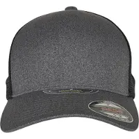 Flexfit Pet donkergrijs / zwart