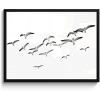 PosterMonkey Fotolijst incl. Poster Zwart Wit- Vogels - Zwart wit - Natuur - Lucht - 70x50 cm - Posterlijst