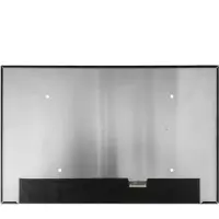 Bravo Laptop LCD Scherm 16" SD10Z34916