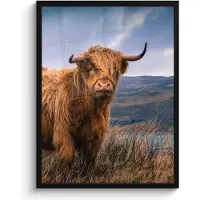 PosterMonkey Poster in lijst - Fotolijst 50x70 cm - Posters - Schotse Hooglander - Berg - Water - Natuur - Koe - Posterlijst zwart - Decoratie - Wanddecoratie woonkamer - Muurdecoratie slaapkamer