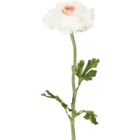 Viana Kunstmatige ranunculus met delicate bloesems voor stijlvolle en onderh