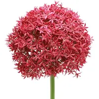 Viana Allium in Bordeaux kunst sierknoflook Ø18cm L90cm