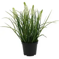 Viana Deco druif hyacint crème in pot 26cm