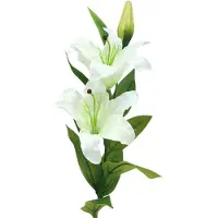 Viana Paaslelie wit 86cm
