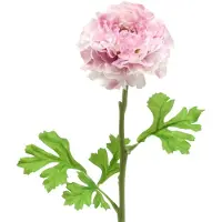 Viana Ranunculus lila H45cm
