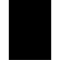 Folia - Fotokarton Folia 2zijdig 50x70cm 300gr nr90 zwart | 10 stuks