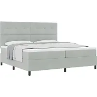 vidaXL Boxspring bed met hoofdeinde Lichtgrijs 200 x 200 cm Fluweel