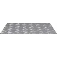 vidaXL Trapmatten 2 st 60 x 50 cm Zilver Aluminium Rechthoekig