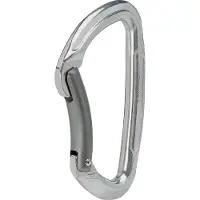 Mammut Element Steel Key Lock Karabijnhaak, zilver 2023 Karabijnhaken
