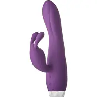Dreamtoys Dream Toys - Flirts duo vibrator rabbit - Paars