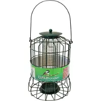 Boon Pindahouder voor Kleine Vogels