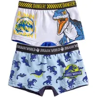 Jurassic World Boxershorts - Maat 4-5 jaar - Ondergoed - Onderbroek - 2 stuks - Voor jongens - thema