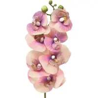 Viana Orchidee Phalaenopsis kunst 7 bloemen paars crème 73cm